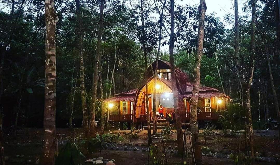 Etalauser Jungle Gate Ecoresort Bukit Lawang Exterior photo